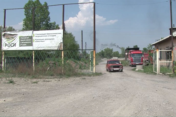 Остановка крематория для животных в Черногорске не доставит неудобств владельцам собак и кошек 