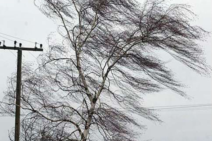 Жителей Хакасии предупредили о штормовом ветре