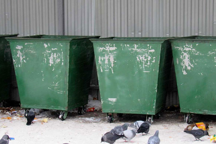 В Хакасии экоактивист раскритиковал мусорную реформу