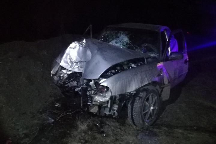 В Черногорске погибла пассажирка врезавшейся в дерево Daewoo Nexia