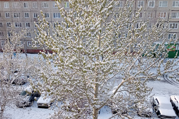 Зима, как и обещала, в апреле вернулась в Хакасию