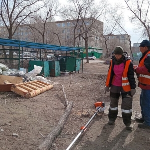 Невероятно: город вязов в Хакасии рубит ветки