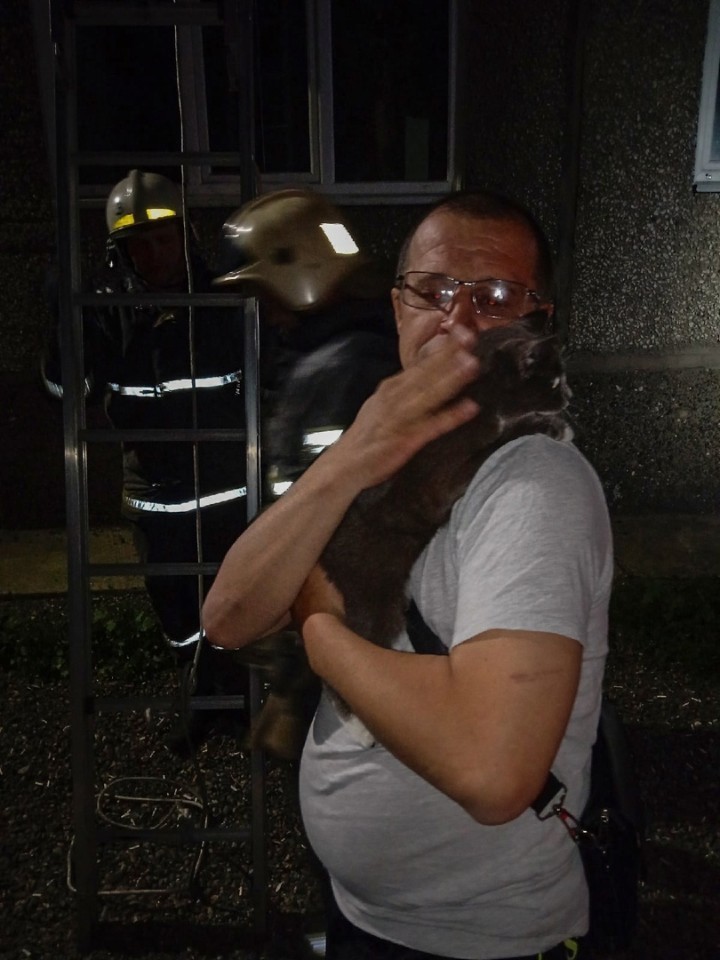 Милота: в Абакане сотрудники МЧС спасли котика 