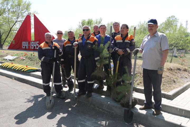 В Хакасии спасатели высадили сосны у мемориала погибшим воинам