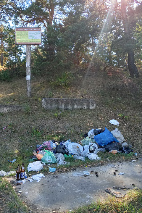 Дачники с Тагарского мусорят на берегу уникального озера 