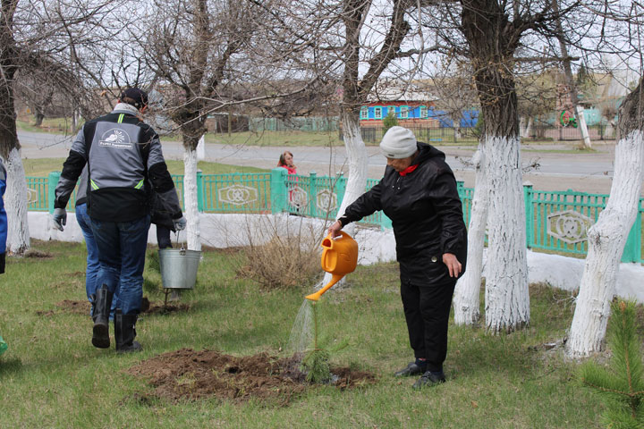 Работники разреза Кирбинский поддержали международную акцию «Сад памяти»