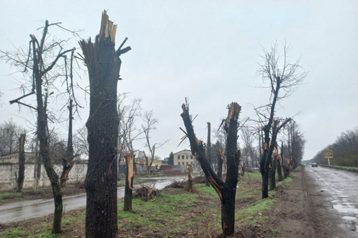 В Мариупольском котле: Спецкор «СП» прорвался к Заводу имени Ильича