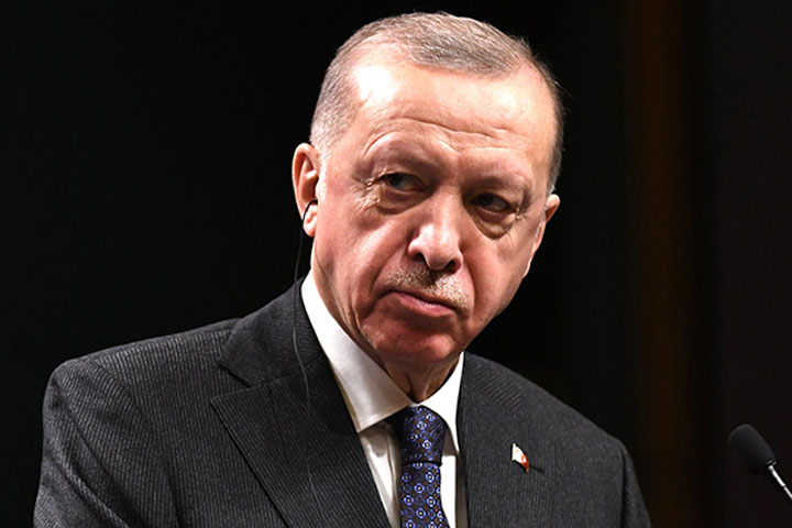 Пять уроков Турецкого. Чему Эрдоган может «научить» Россию