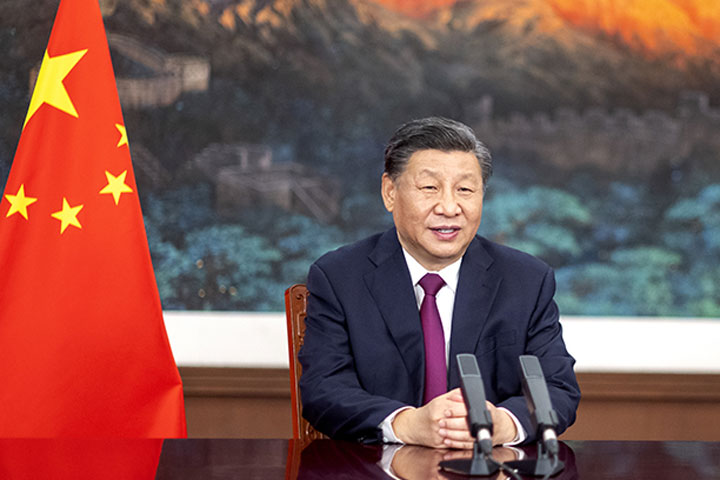  Китайская удавка затягивается: Карт-бланш Си Цзиньпина