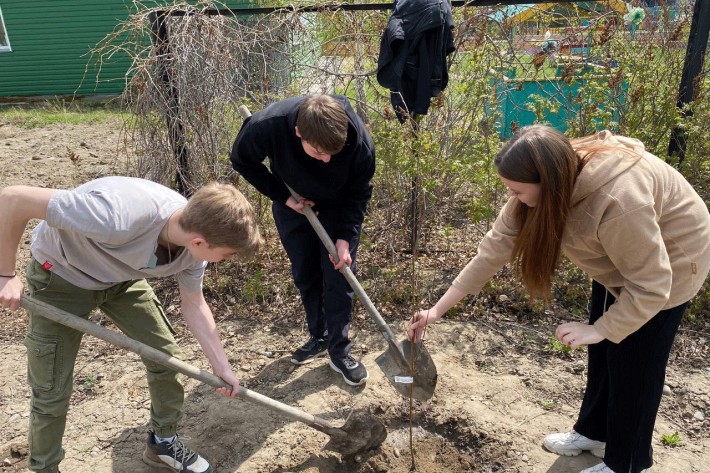 В Алтайском районе посажен школьный яблоневый сад