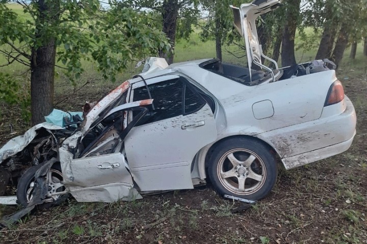 В Хакасии водитель Honda врезался в лошадь, пострадали два человека