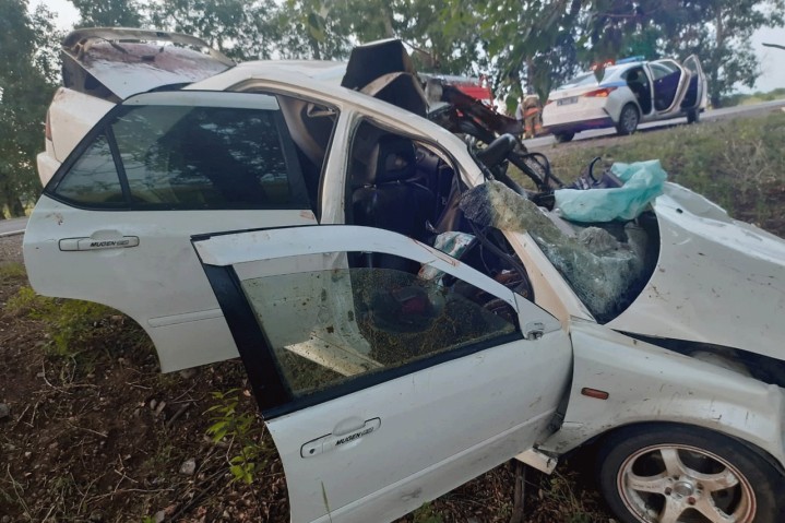 В Хакасии водитель Honda врезался в лошадь, пострадали два человека