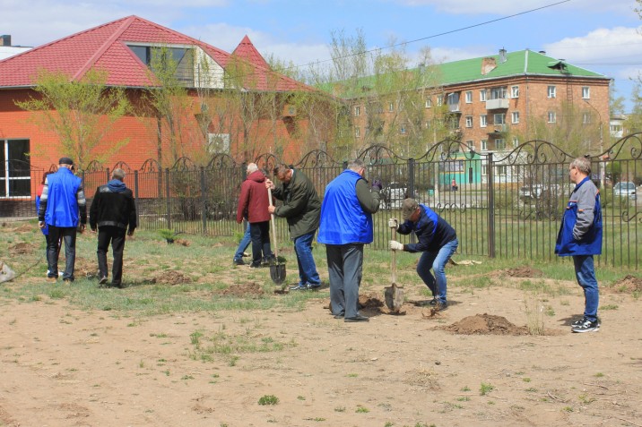 Атомэнергосбыт высадил в Черногорске первую клиентскую аллею