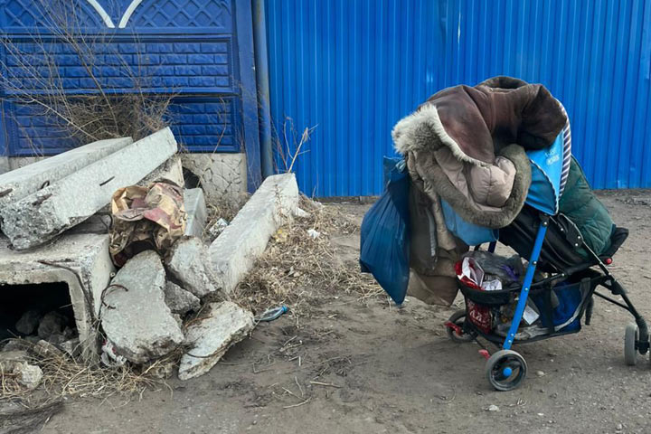 В Черногорске возле детского сада собака прокусила грудь женщине