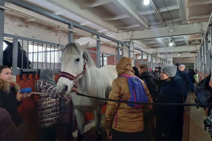 В столице Хакасии школьники будут заниматься конным спортом