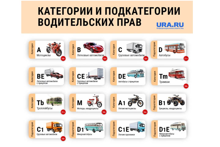 Часть водителей лишится прав в 2024 году: что нужно знать о новом законе. Инфографика