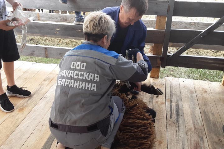 В Аскизском районе отмечают День животновода 