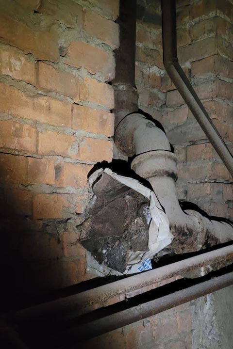 «Зловонный запах и трупы крыс» - что происходит в одном из домов в Черногорске 