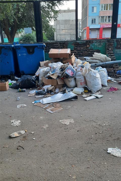 Жители столицы Хакасии жалуются на мусорный апокалипсис 