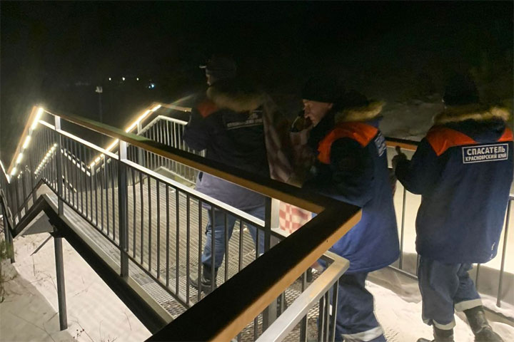 Косуля застряла на самой длинной лестнице России