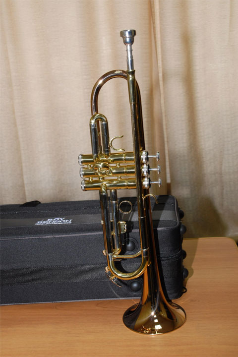 В Абакане музыкальная школа получила новые инструменты