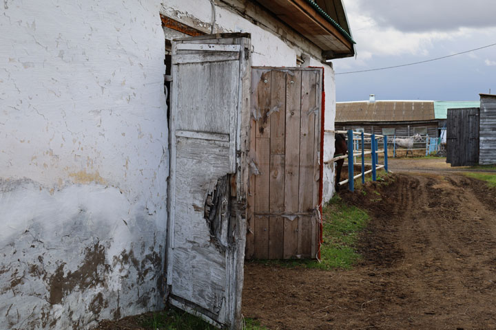 Так кто же малюет картинку ипподрома, где все заросло и на веревках?