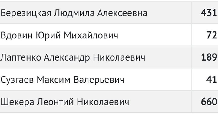 В Алтайском районе выбрали местных депутатов