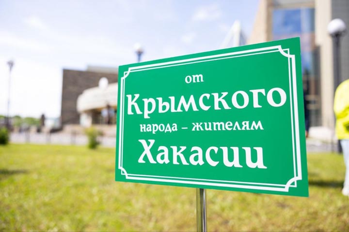 В столице Хакасии будет расти сосна из Крыма - символ нерушимой дружбы