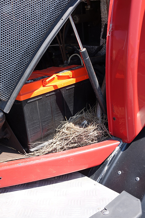 В заповеднике «Хакасский» под капотом пожарной машины нашли гнездо