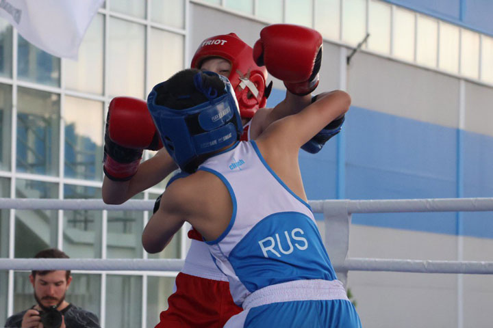 В Алтайском районе проходит первенство Федерации бокса «Za Победу»