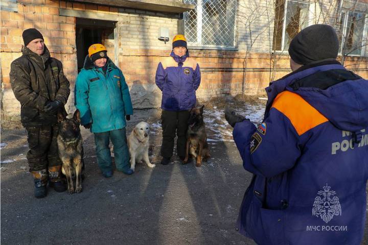 В Хакасии кинологи с собаками искали людей среди развалин