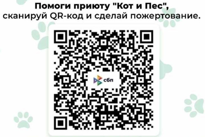 День благотворительности в Хакасии: без нас им не выжить!