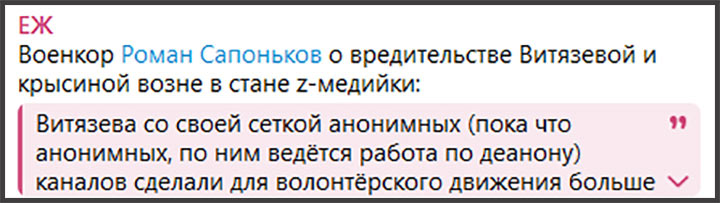 «Хитрый ход Путина» или провал Генштаба: Скандал с Витязевой из-за вторжения в Курскую область