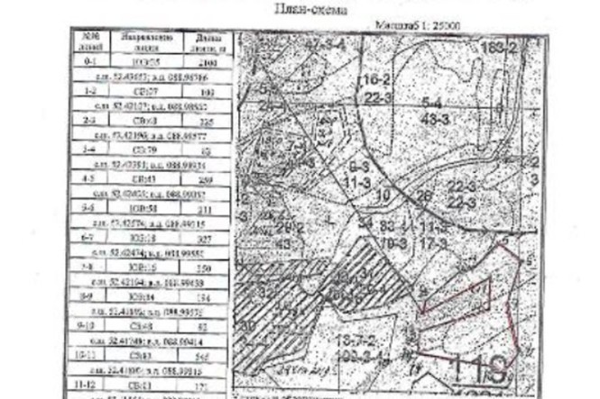 SOS: кедровую тайгу в Хакасии будут косить харвестеры