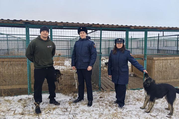 Приставы привезли в «Каштанкин дом» еду 