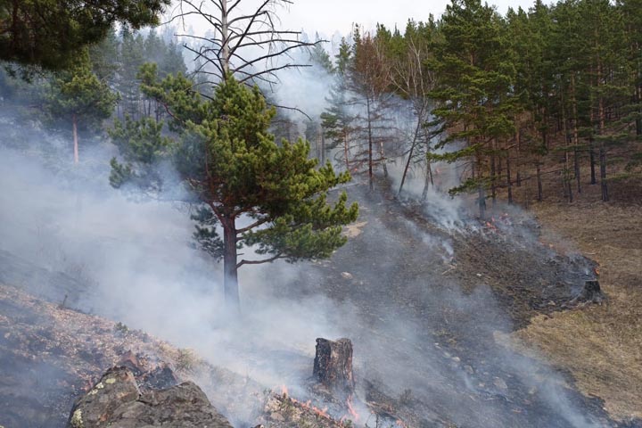 Стала известна лесопожарная обстановка в Хакасии на утро 8 мая