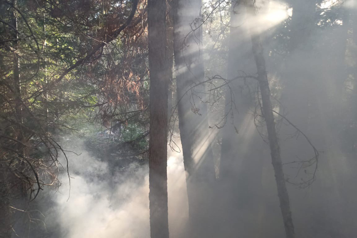 Минприроды Хакасии: действующих лесных пожаров в республике нет, но расслабляться нельзя