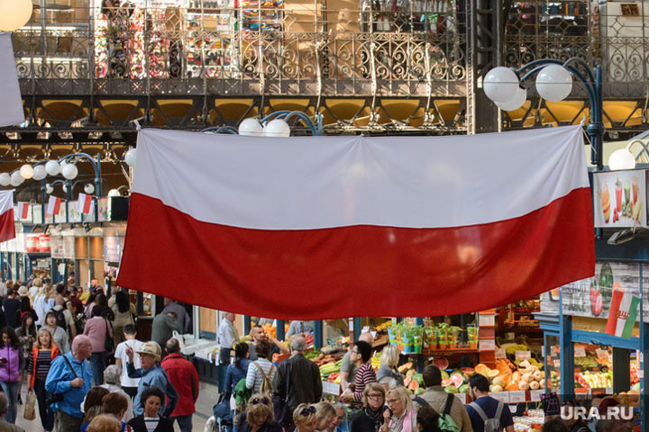 МИД Польши признал серьезность нападения на посла РФ в Варшаве