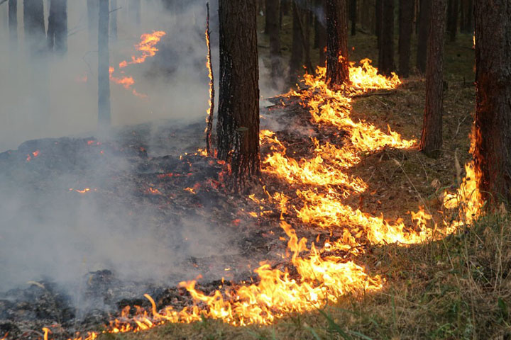 В Таштыпском районе в День Победы горел лес 