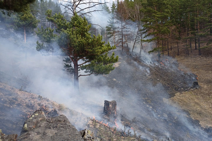 В Хакасии за праздничные выходные произошло 12 лесных пожаров