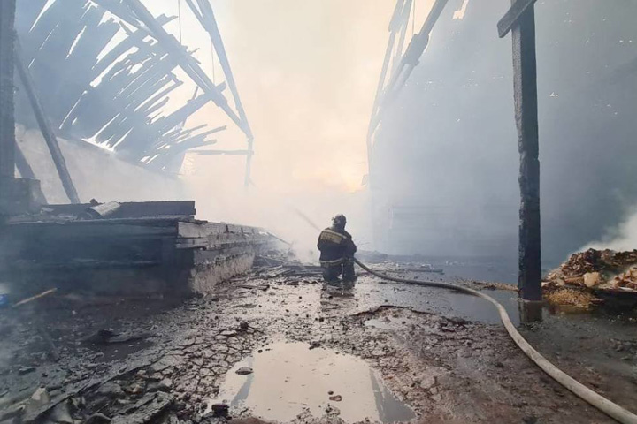  В Сибири после пожаров начались задержания должностных лиц
