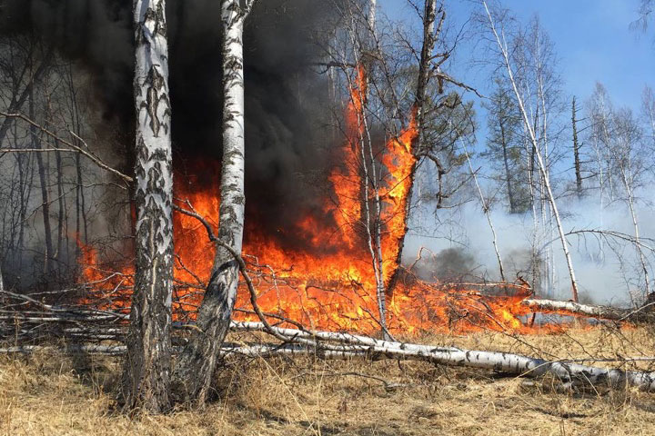 В Хакасию прилетает борт из Читы с 50 огнеборцами - тушить лесные пожары
