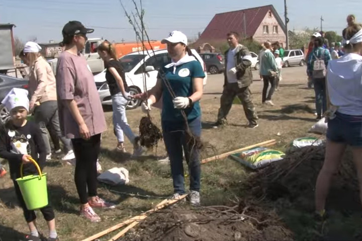 «Зеленая волна» РУСАЛа подарила Саяногорску еще 150 фруктовых деревьев