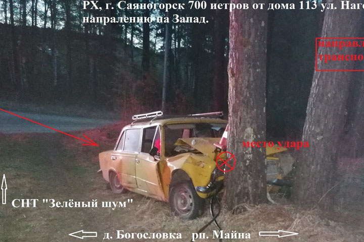 В Саяногорске пенсионер скончался за рулем, неуправляемая машина врезалась в дерево