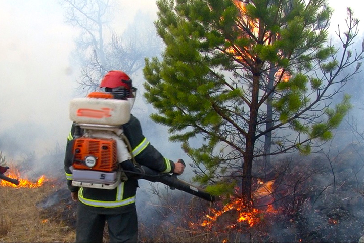 В Хакасии действуют три лесных пожара 