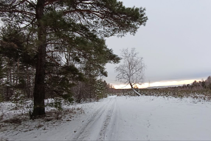 В Хакасии прогнозируют снег и метель 