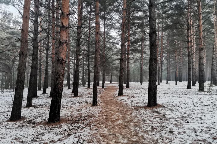 Погода в Хакасии 5 января 