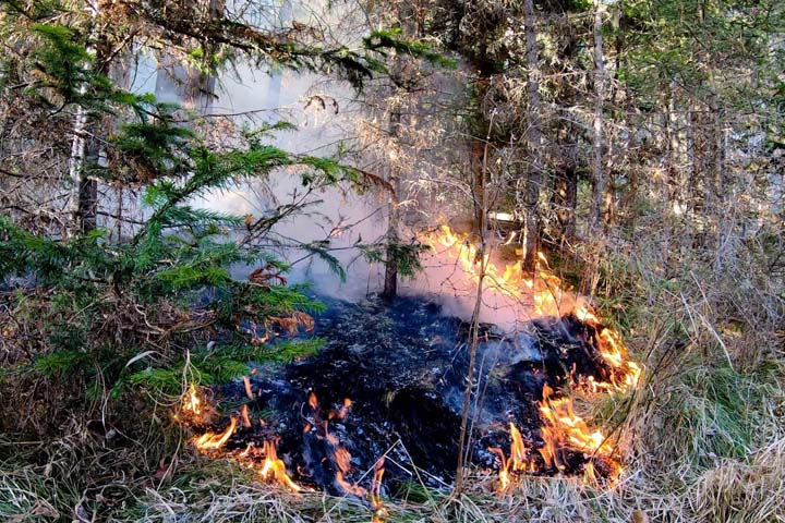 В Хакасии продолжают бушевать лесные пожары