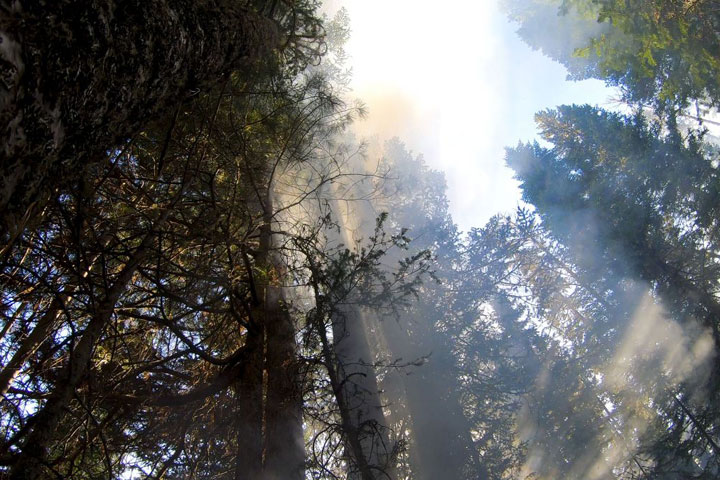 В Хакасии локализованы два лесных пожара 