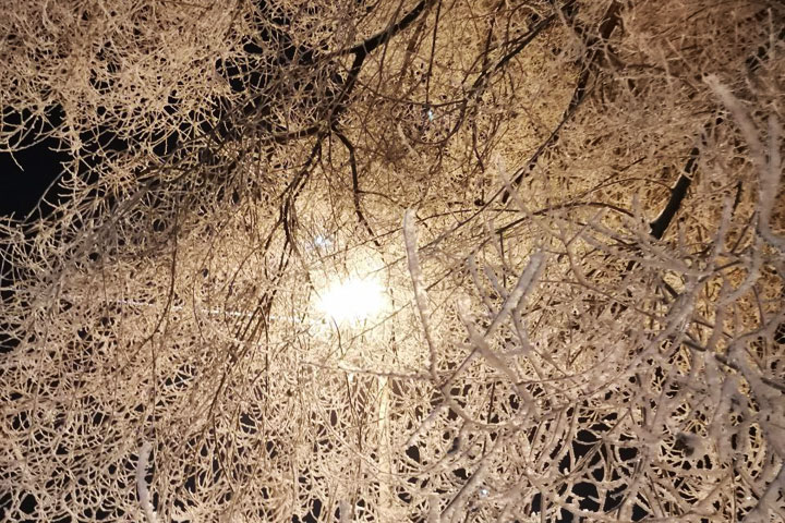 Погода в Хакасии 1 - 2 февраля 